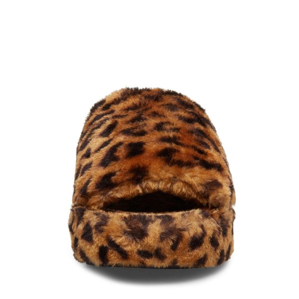 FUZZ LEOPARD - SM REBOOTED - Image 3