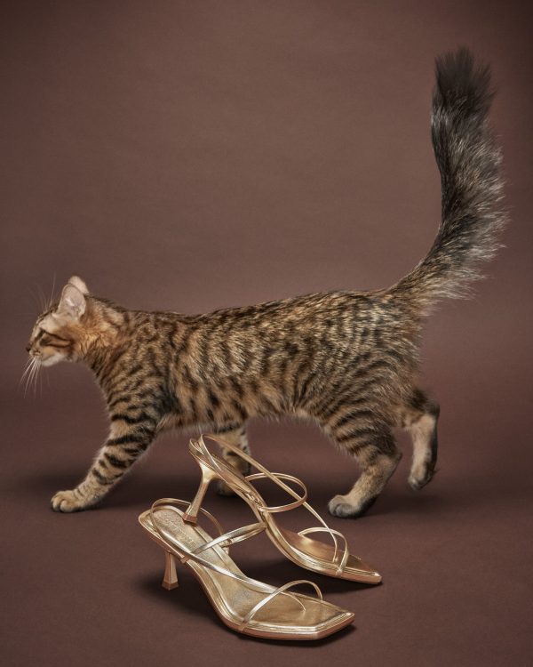 LOCKE CHAMPAGNE - SM REBOOTED - Image 8