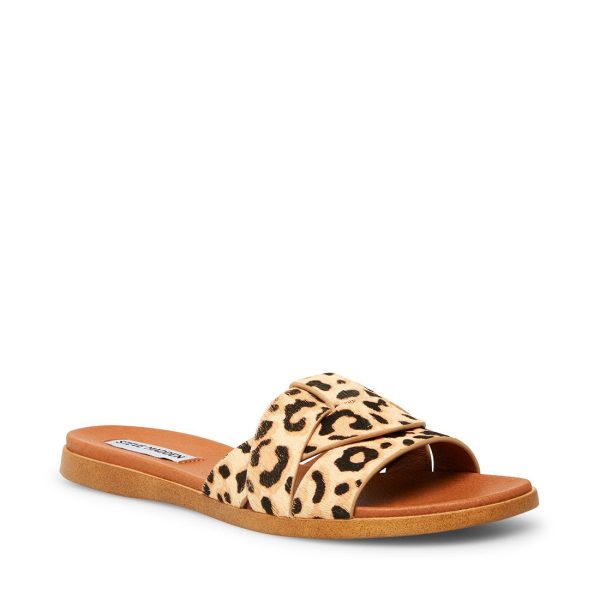 VIVIEN LEOPARD - SM REBOOTED - Image 2