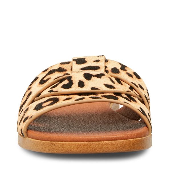 VIVIEN LEOPARD - SM REBOOTED - Image 3