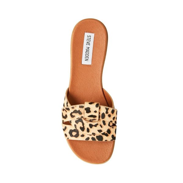 VIVIEN LEOPARD - SM REBOOTED - Image 4