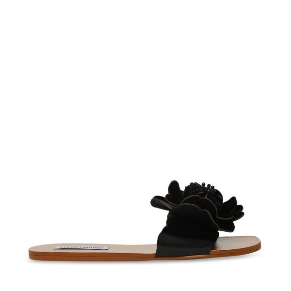 CHELSEA BLACK - SM REBOOTED - Image 2