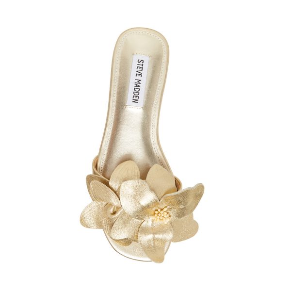 MELENA GOLD LEATHER - SM REBOOTED - Image 4