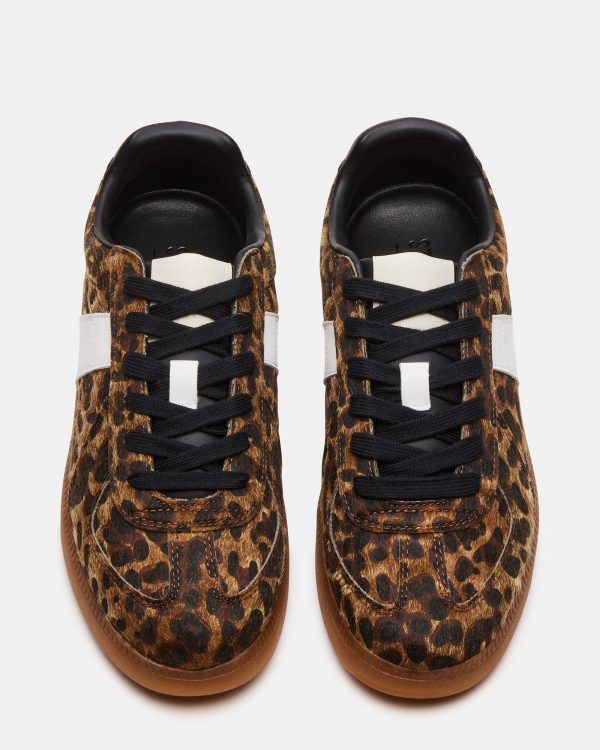 DIXON LEOPARD - Image 4