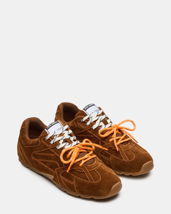 MIDAS CHESTNUT - Image 3
