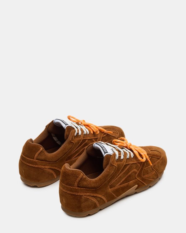 MIDAS CHESTNUT - Image 6