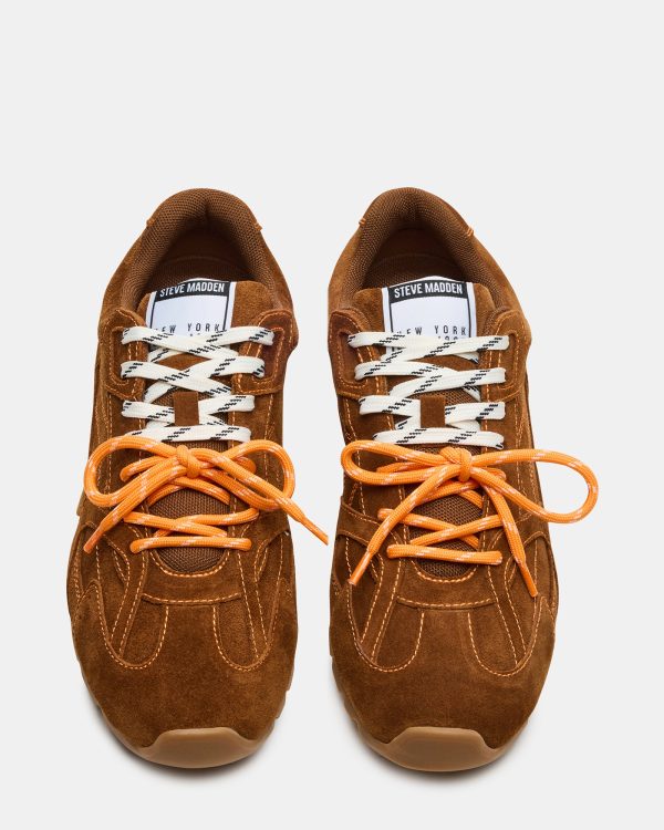 MIDAS CHESTNUT - Image 5