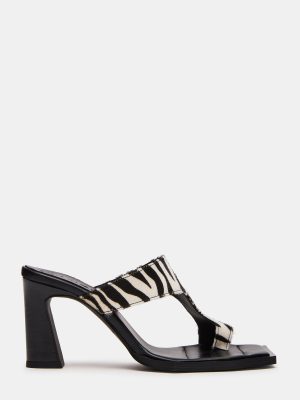 ALAMEDA ZEBRA