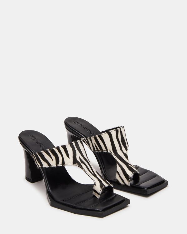 ALAMEDA ZEBRA - Image 2