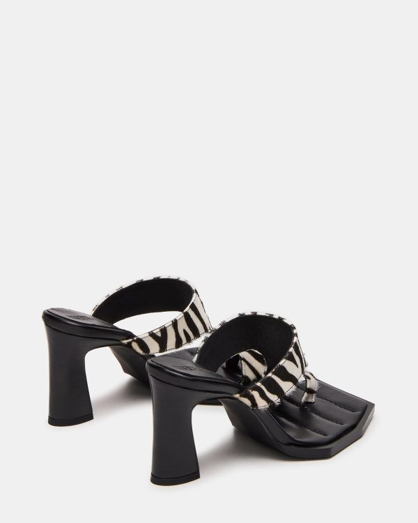 ALAMEDA ZEBRA - Image 5