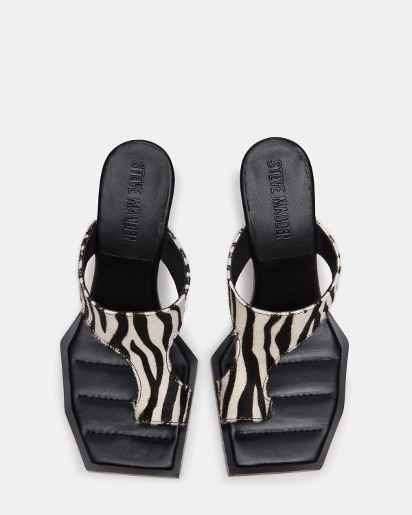 ALAMEDA ZEBRA - Image 4