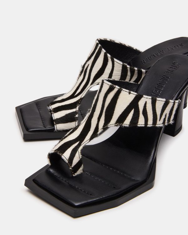 ALAMEDA ZEBRA - Image 3
