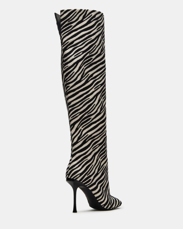 ALLURING ZEBRA - Image 5