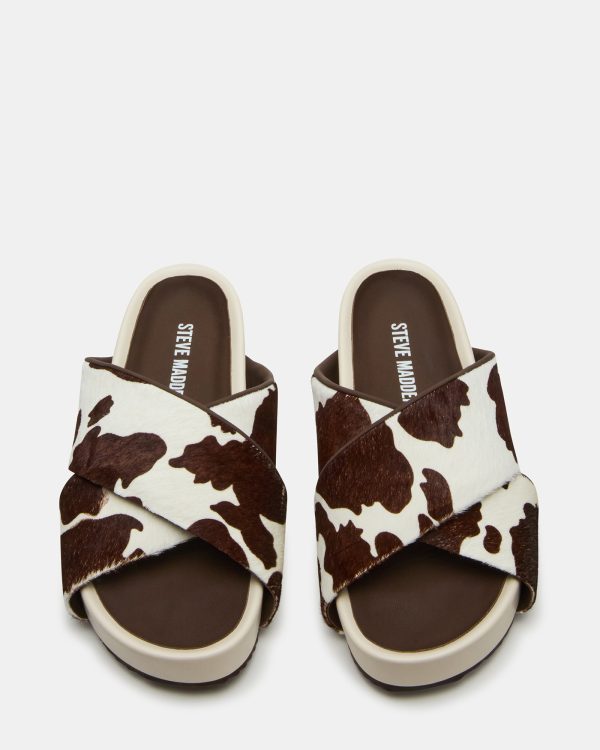 AVENDRA BROWN COW PRINT - Image 4