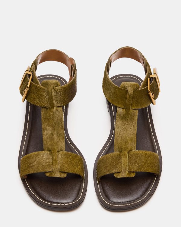 BRAZINN OLIVE - Image 4