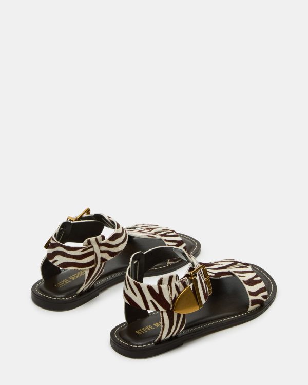 BRAZINN ZEBRA - Image 5