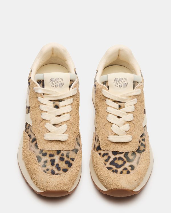 BURST LEOPARD MULTI - Image 4