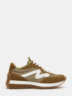 CAMPO OLIVE MULTI