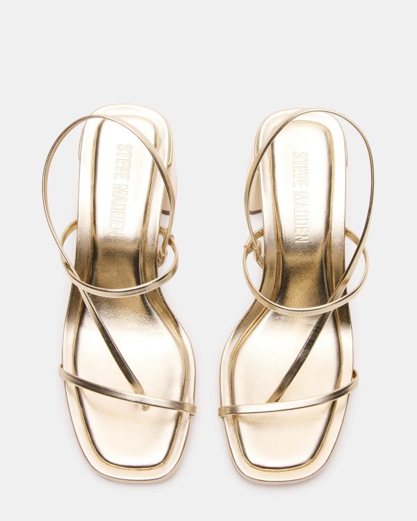 DIORA GOLD - Image 5