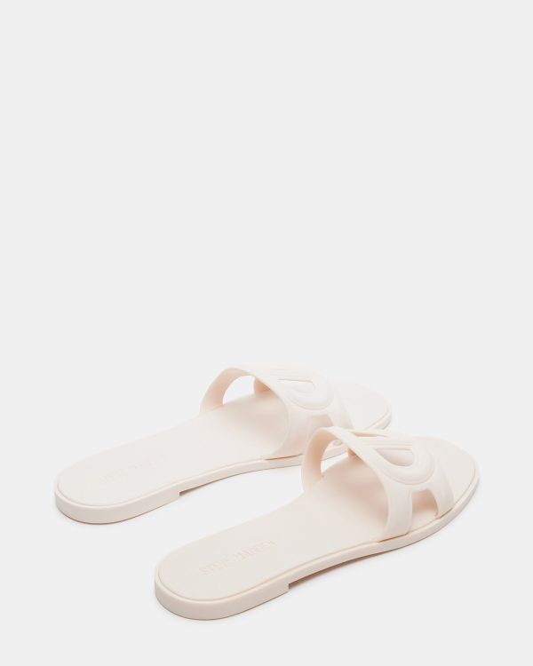 JELLIE BONE - Image 6