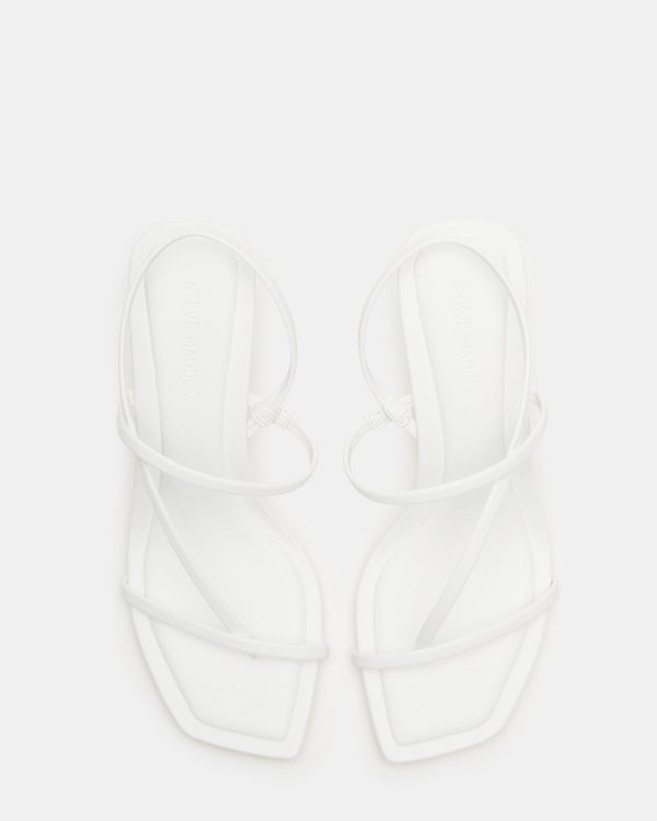LOCKE WHITE - Image 5