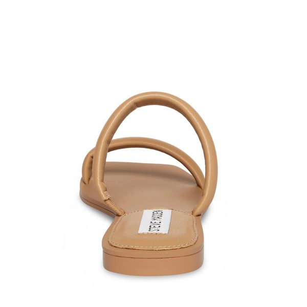 PEDRA TAN - SM REBOOTED - Image 5