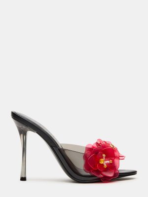 PETUNIA BLACK/RED