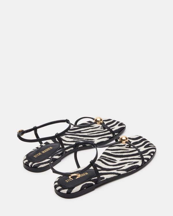 RITZY ZEBRA - Image 5