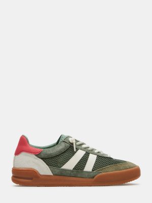 VERDICT GREEN MULTI