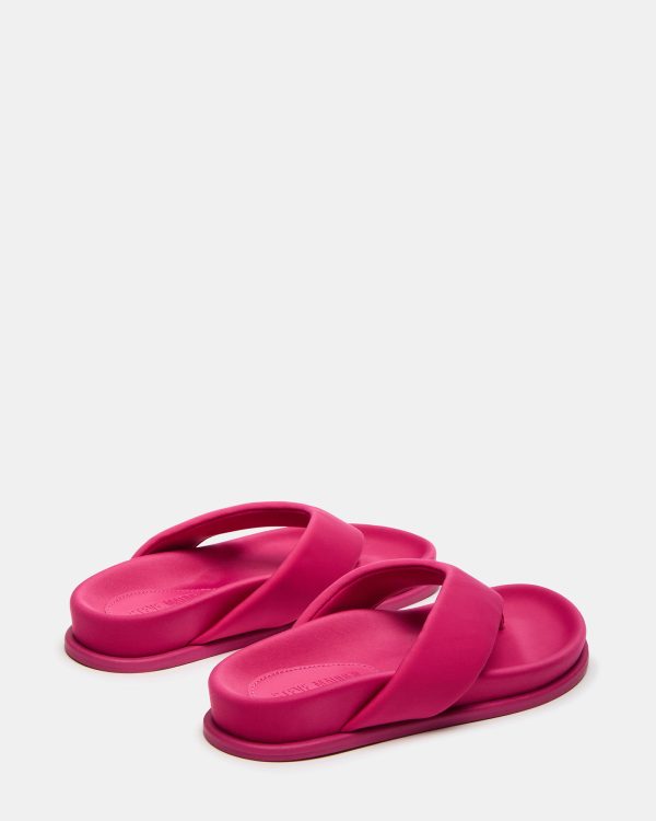 ZINNIA PINK - Image 5