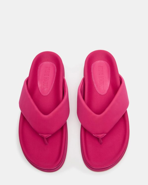 ZINNIA PINK - Image 4