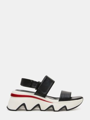 LOCHAN BLACK