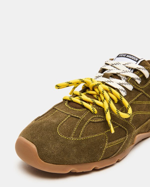 MIDAS OLIVE - Image 3